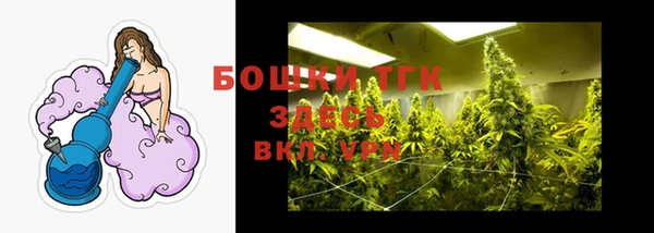 СК Зеленокумск