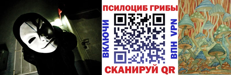 Галлюциногенные грибы Psilocybine cubensis  Судак 