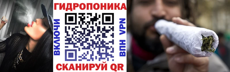 цены Судак Каннабис Ganja